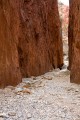 Larapinta_20080612_541 copy